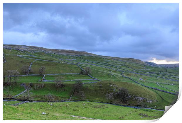 Yorkshire Dales  Print by chris smith