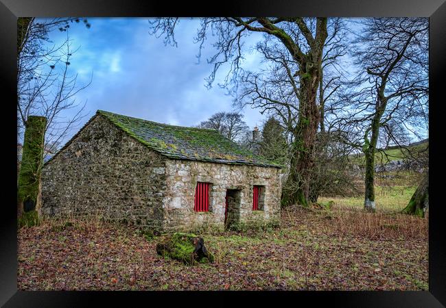 Yorkshire Dales  Framed Print by chris smith