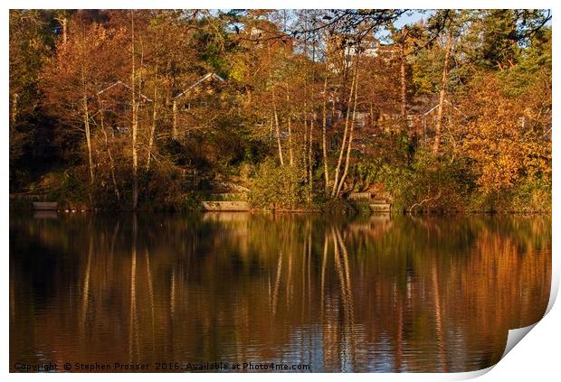 Peace and tranquility by the lake Print by Stephen Prosser