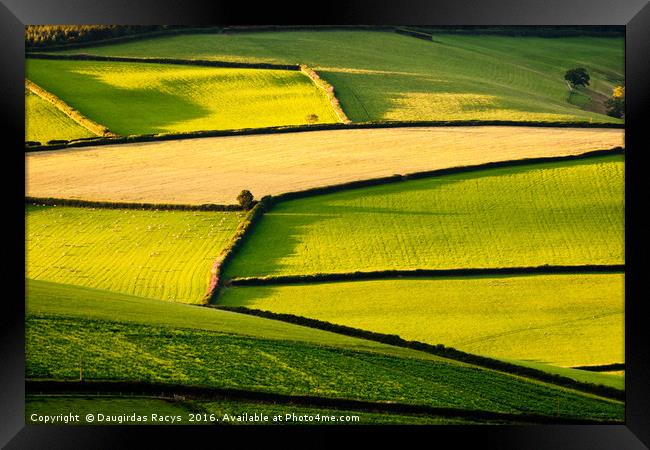 Exmoor Greens Framed Print by Daugirdas Racys