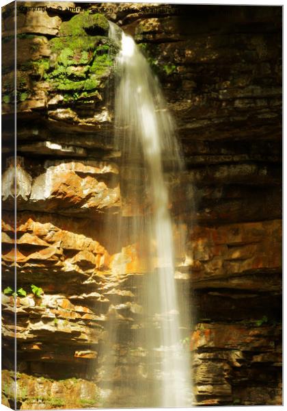 WATER SHOWER Canvas Print by andrew saxton