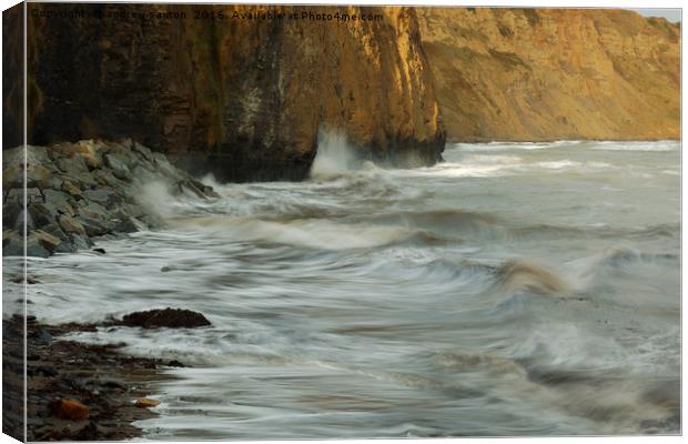 SPLASHING IN Canvas Print by andrew saxton
