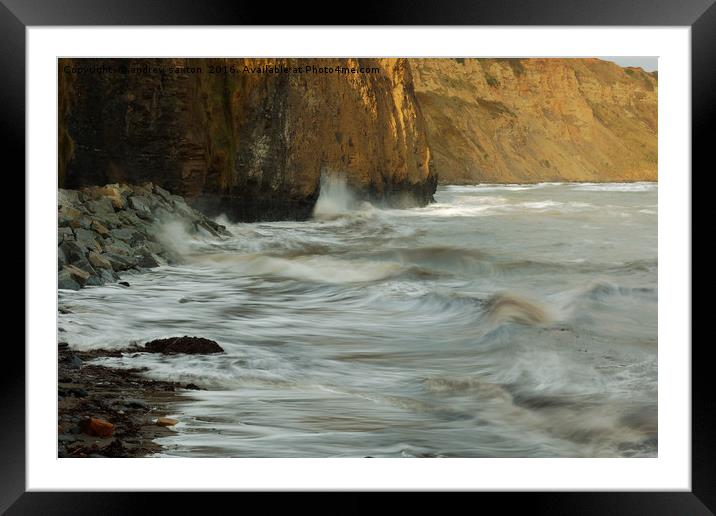 SPLASHING IN Framed Mounted Print by andrew saxton
