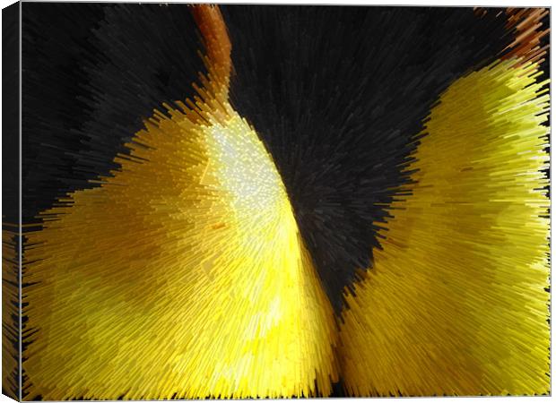 Abstract yellow pears on a black background Canvas Print by Larisa Siverina