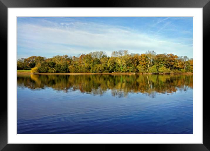 Chard Reservoir Autumn Reflections                 Framed Mounted Print by Darren Galpin