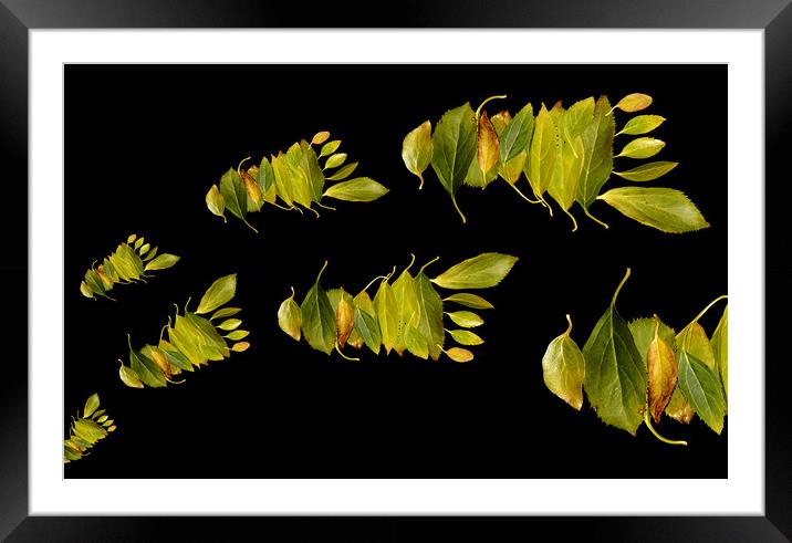 Leave only........... Framed Mounted Print by JC studios LRPS ARPS