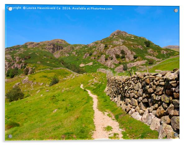 Langdale Fell, Great Langdale, Lake District, Cumb Acrylic by Louise Heusinkveld
