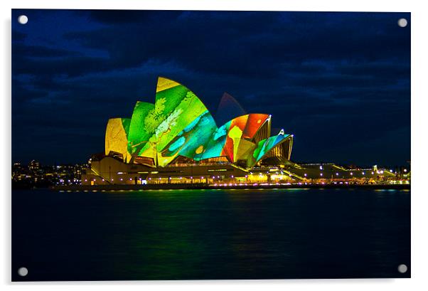 Sydney Opera House Acrylic by Kate Young