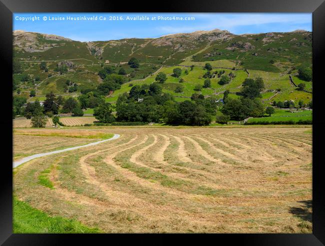 A field of freshly mown hay drying in Great Langda Framed Print by Louise Heusinkveld