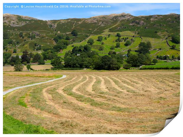 A field of freshly mown hay drying in Great Langda Print by Louise Heusinkveld