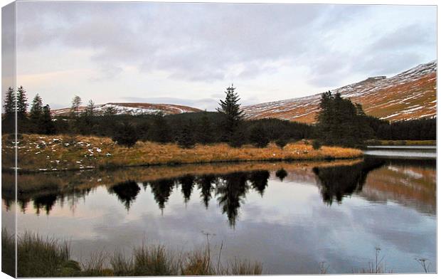 Brecon Beacon reflection. Canvas Print by paulette hurley