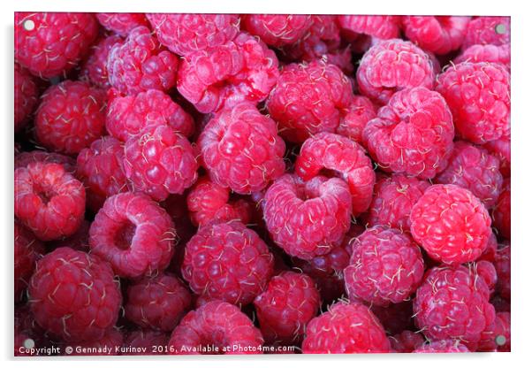 raspberries Acrylic by Gennady Kurinov