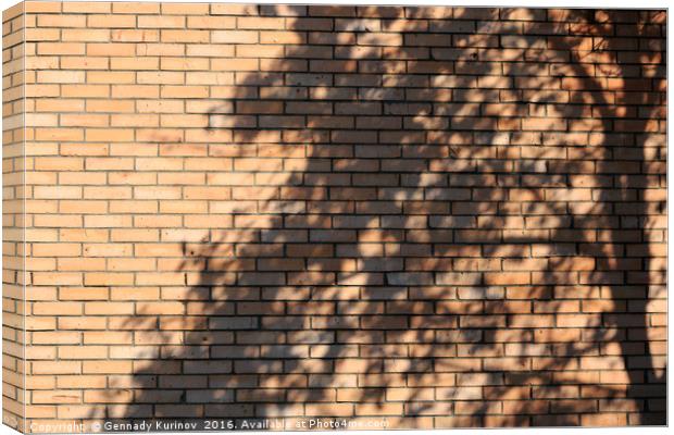 tree shadow on brick wall Canvas Print by Gennady Kurinov