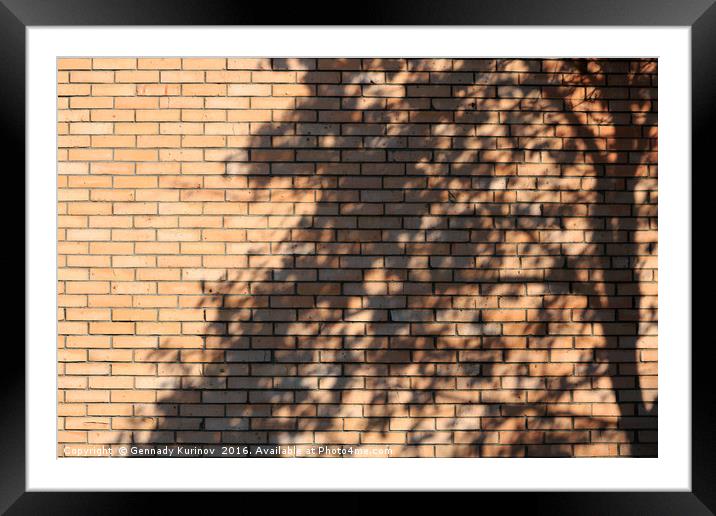 tree shadow on brick wall Framed Mounted Print by Gennady Kurinov