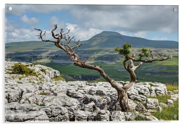 Lone Tree on Twistleton Scar Acrylic by George Hopkins