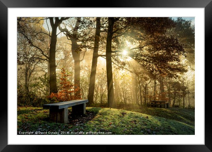 bench at St Ives in the mist Framed Mounted Print by David Oxtaby  ARPS