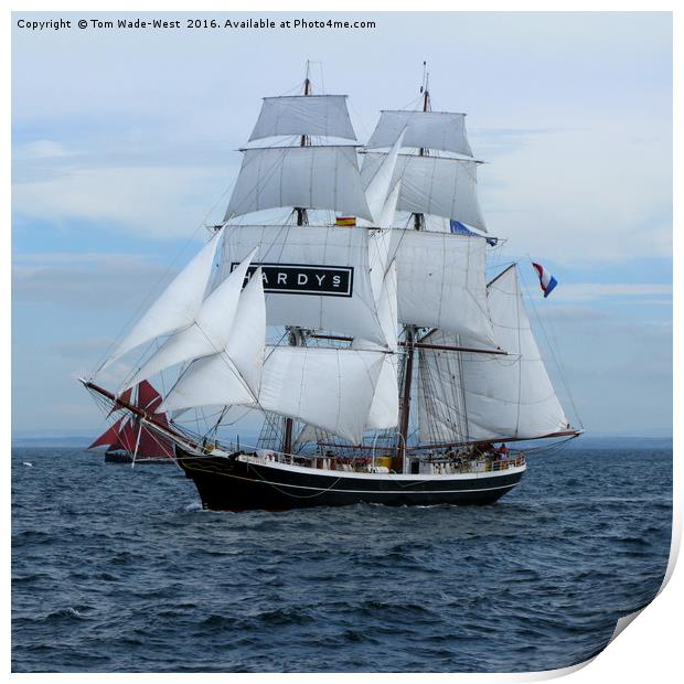 Tallship Morgenster Print by Tom Wade-West