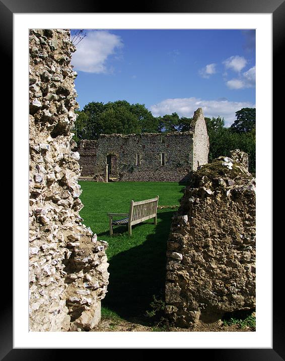 Bishop Waltham Palace - Bench View Framed Mounted Print by Donna Collett