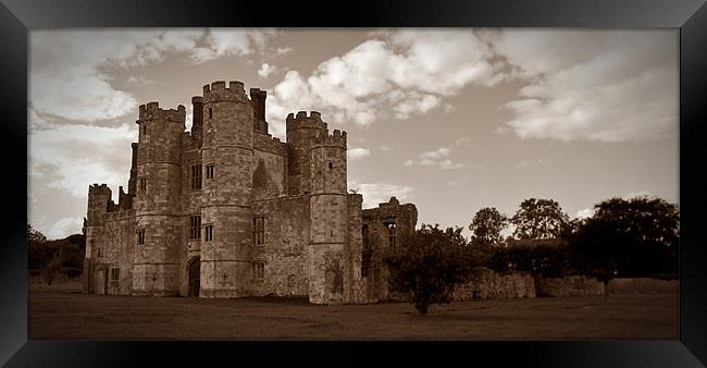 Titchfield Abbey Framed Print by Donna Collett