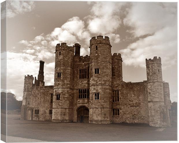 Titchfield Abbey - Soft edged framing Canvas Print by Donna Collett