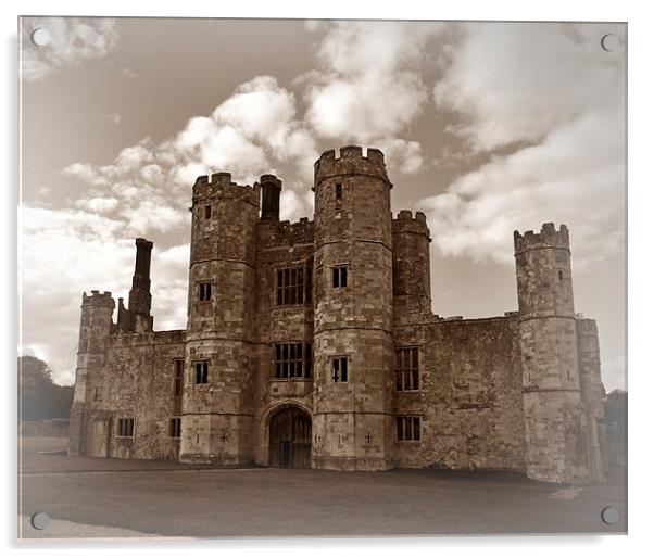 Titchfield Abbey - Soft edged framing Acrylic by Donna Collett