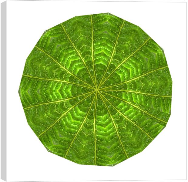 Circular composite of fern leaf Canvas Print by Ivan Kovacs
