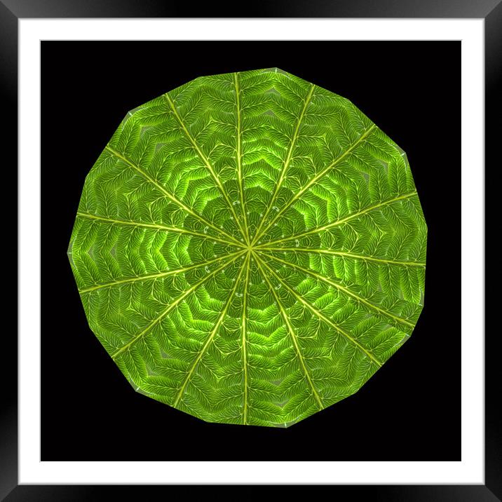 Circular composite of fern leaf. Framed Mounted Print by Ivan Kovacs