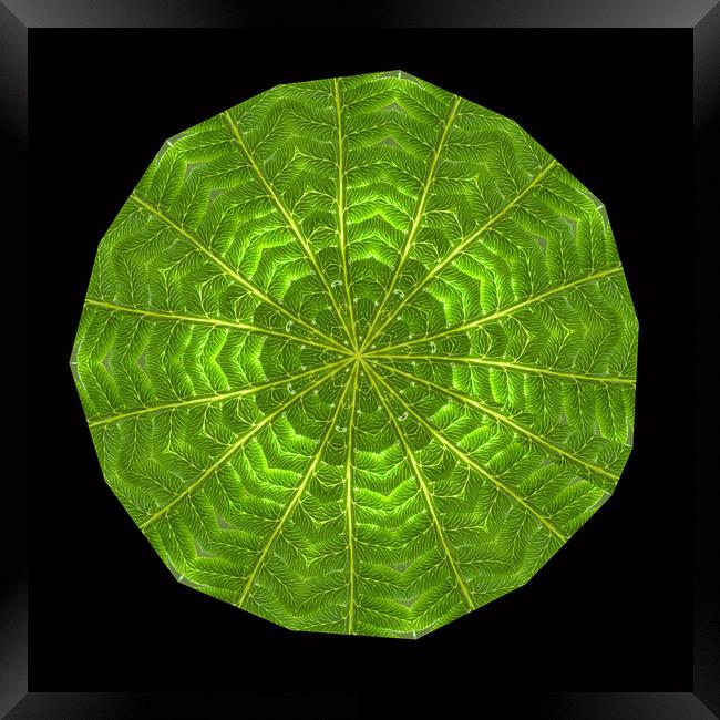 Circular composite of fern leaf. Framed Print by Ivan Kovacs