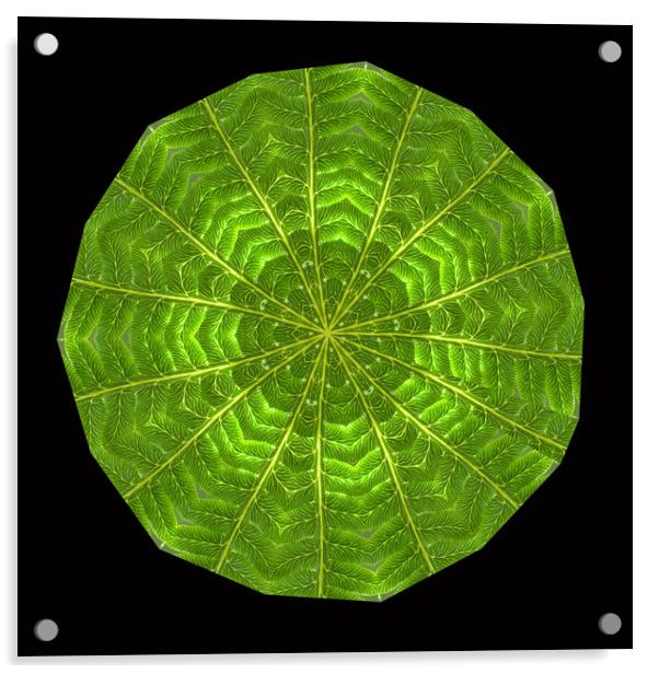 Circular composite of fern leaf. Acrylic by Ivan Kovacs