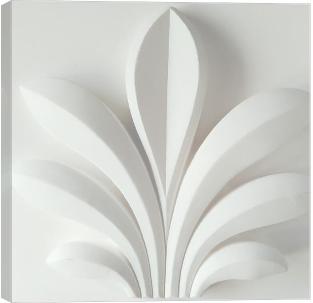 White plant sculpture Canvas Print by Larisa Siverina