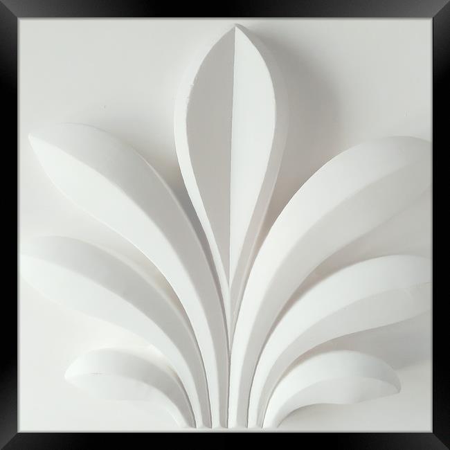 White plant sculpture Framed Print by Larisa Siverina