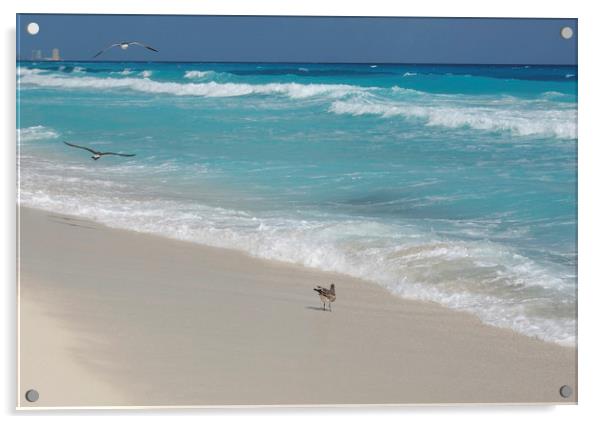 Carribean sea,Cancun, Mexico Acrylic by Larisa Siverina