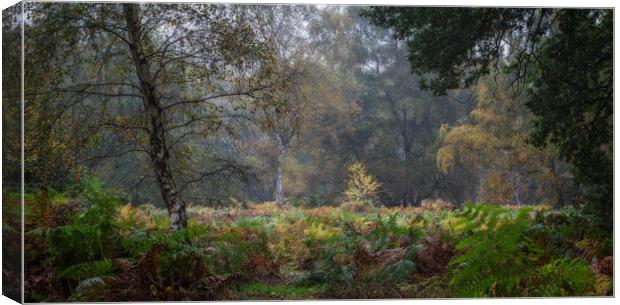 Autumn Hues Canvas Print by Ceri Jones