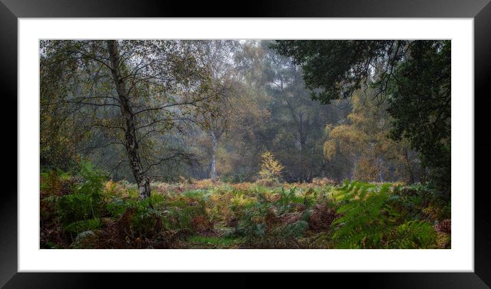 Autumn Hues Framed Mounted Print by Ceri Jones