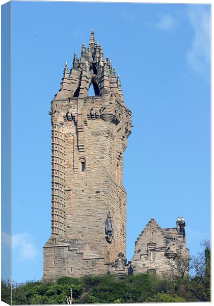 Wallace Monument Canvas Print by Fiona McLellan