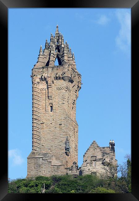 Wallace Monument Framed Print by Fiona McLellan