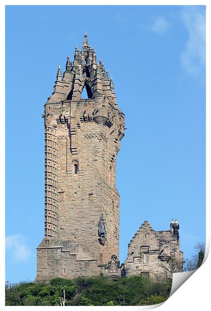 Wallace Monument Print by Fiona McLellan