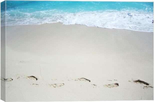 Footprints on a sand Canvas Print by Larisa Siverina