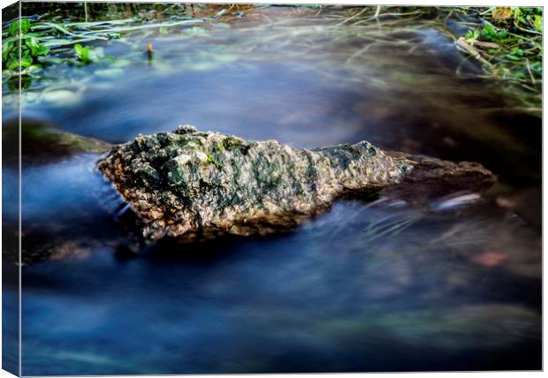 The lone rock Canvas Print by Jonathan Thirkell