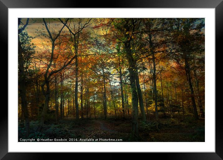 Autumn to Winter. Framed Mounted Print by Heather Goodwin