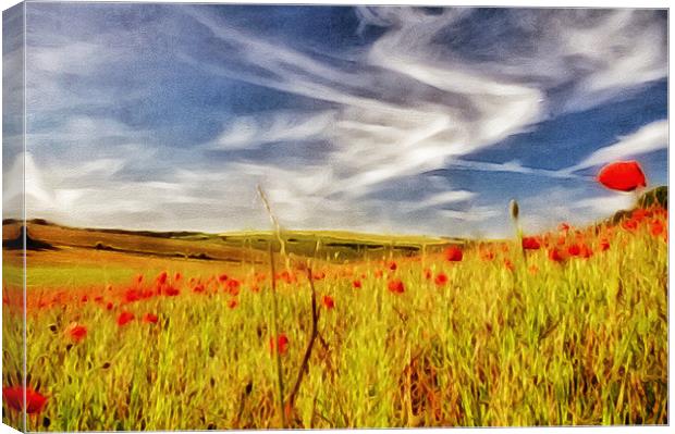 Painted Poppy Field Canvas Print by Scott Anderson