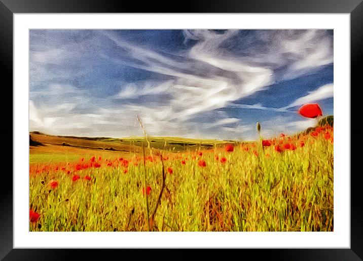 Painted Poppy Field Framed Mounted Print by Scott Anderson