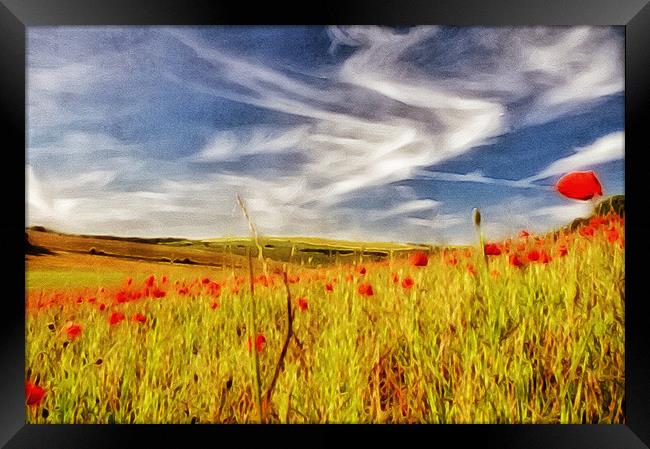 Painted Poppy Field Framed Print by Scott Anderson