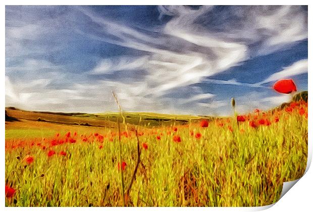 Painted Poppy Field Print by Scott Anderson