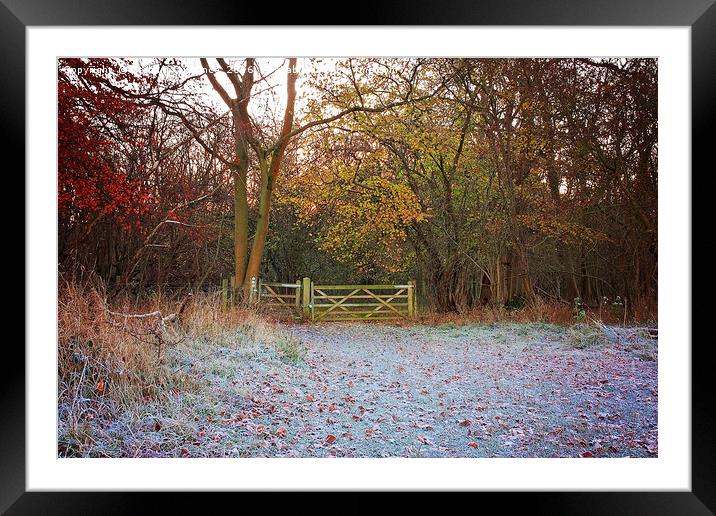 Winter Sunrise in the Chilterns Framed Mounted Print by Graham Custance