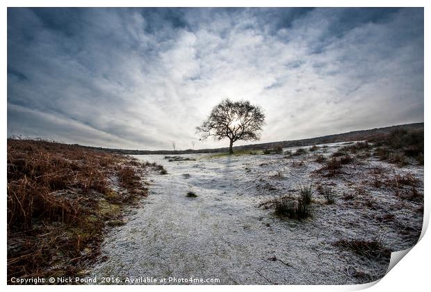 A Cold Morning on the Quantock Hills Print by Nick Pound