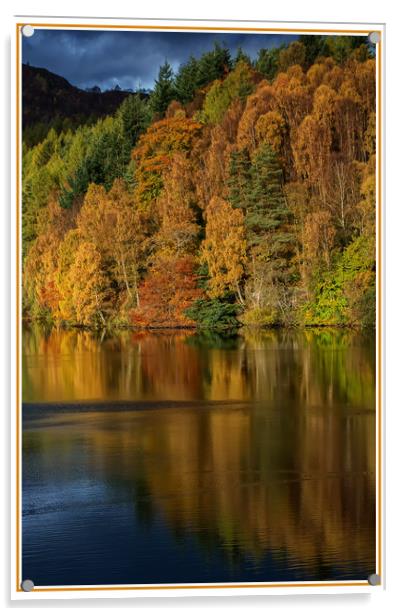 Autumn Loch Tummel Acrylic by Matt Johnston