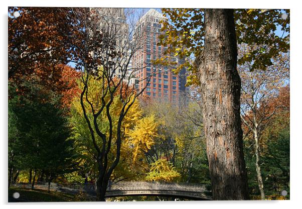 Central Park, New York Acrylic by Gill Allcock