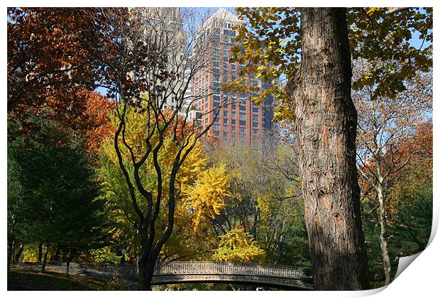 Central Park, New York Print by Gill Allcock