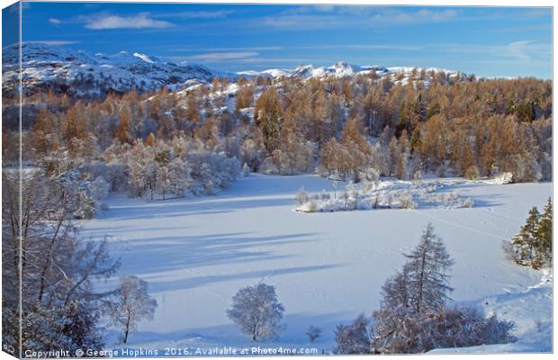 Tarn Hows Snows Canvas Print by George Hopkins